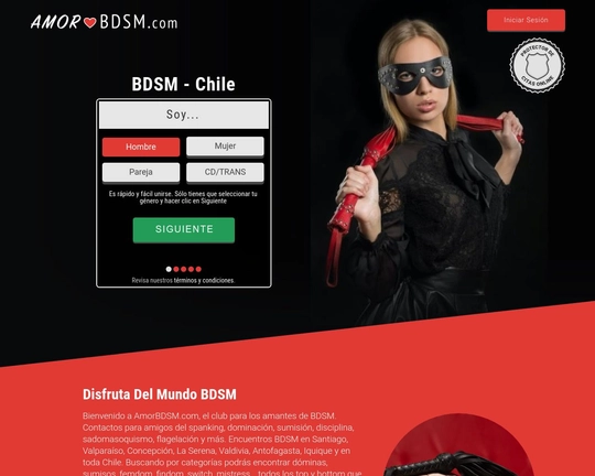 Amor❤️BDSM Chile Logo